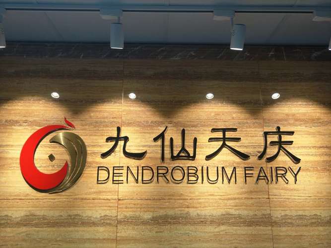 上海九仙天庆网络科技